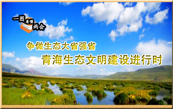 一圖看懂兩會：青海生態文明建設進行時