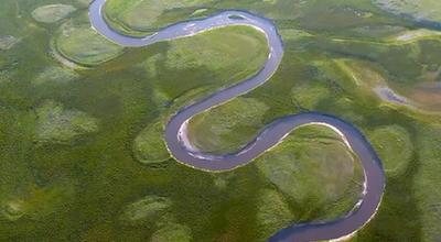 青海黃南：生物多樣性成效顯現